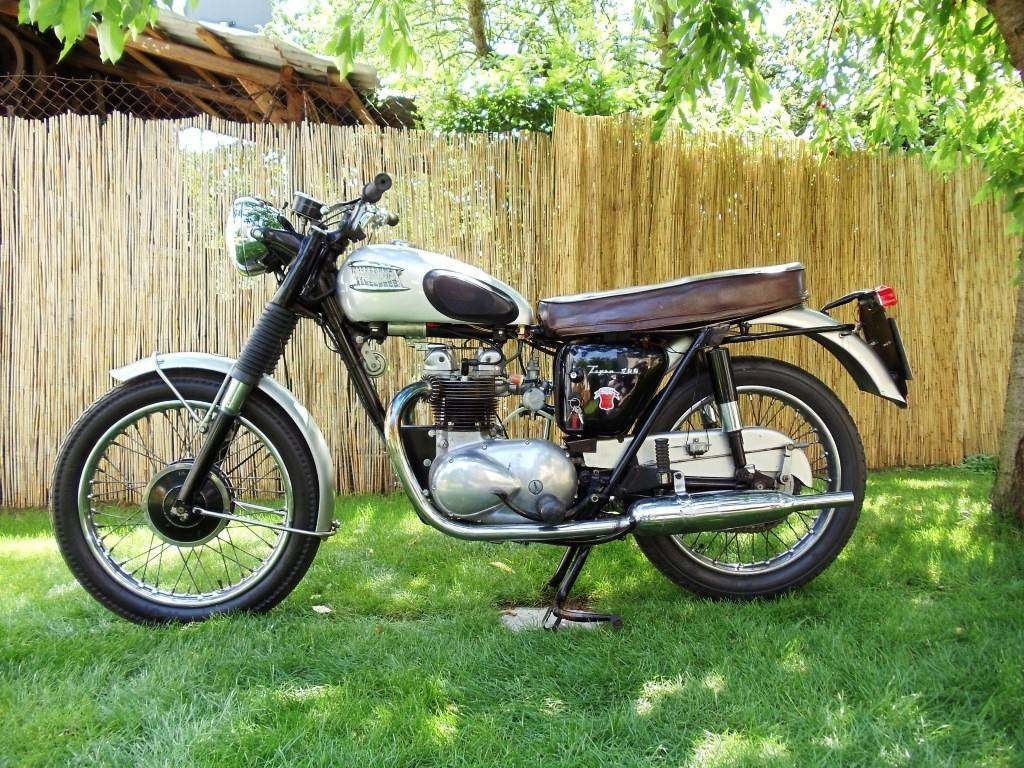  Triumph T100 Tiger, r.v. 1954 s TP